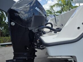 View full size image of 2022 SeaVee 290B