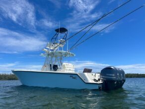 View full size image of 2020 Seavee 340Z