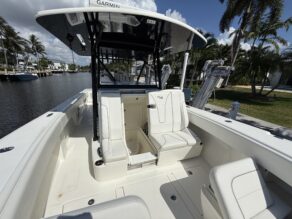 View full size image of 2021 SeaVee 370Z
