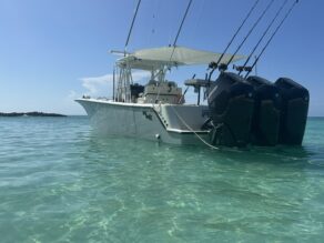 View full size image of 2015 Seavee 390z