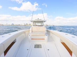 View full size image of 2022 SeaVee 450Z